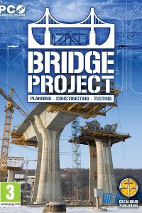 Bridge Project