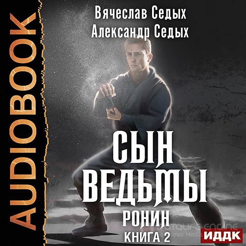 Седых Александр, Седых Вячеслав. Сын ведьмы. Ронин (Аудиокнига)