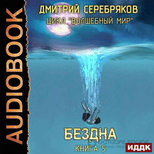 Серебряков Дмитрий. Волшебный мир. Бездна (Аудиокнига)