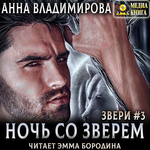 Владимирова Анна. Ночь со зверем (Аудиокнига)