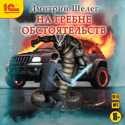 Шелег Дмитрий. На гребне обстоятельств (Аудиокнига)